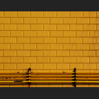 lali-masriera-yellow-bricks.jpg