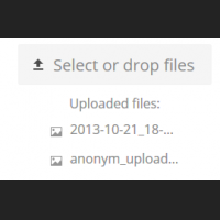 anonym_uploaded_files.png
