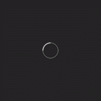 loading-dark.gif