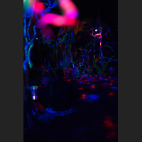 b7bd526154de20817ebb1107dbf554c2.jpg