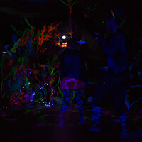 bb90bdd9ae541684cbff8a18a76e6947.jpeg