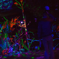 faf0738ff14de4ad614faf3096bbb9f6@2x.jpeg